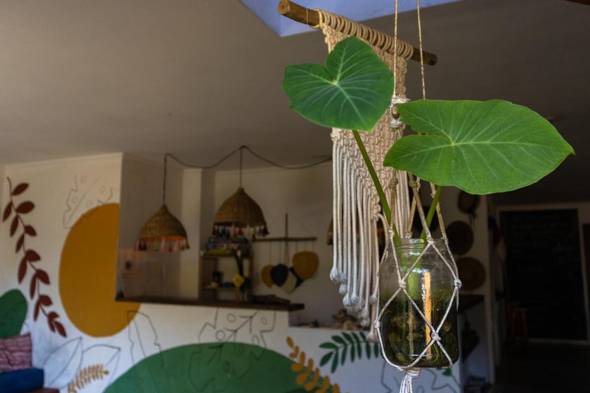 Sambaqui Hostel Ilhabela Bagian luar foto
